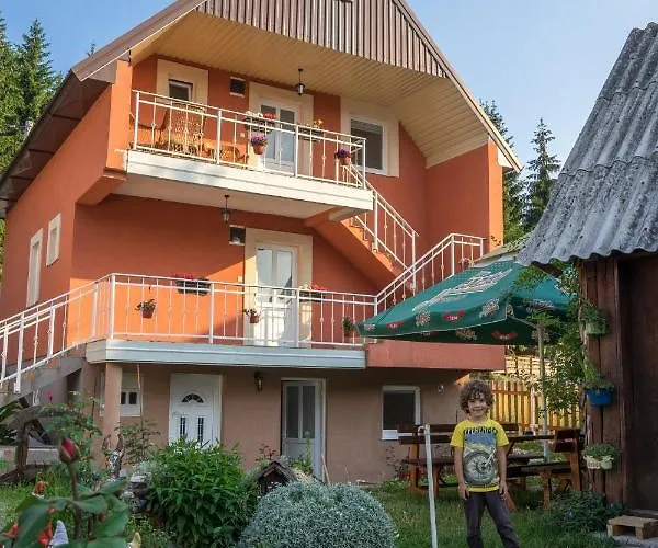Apartments Dedeic