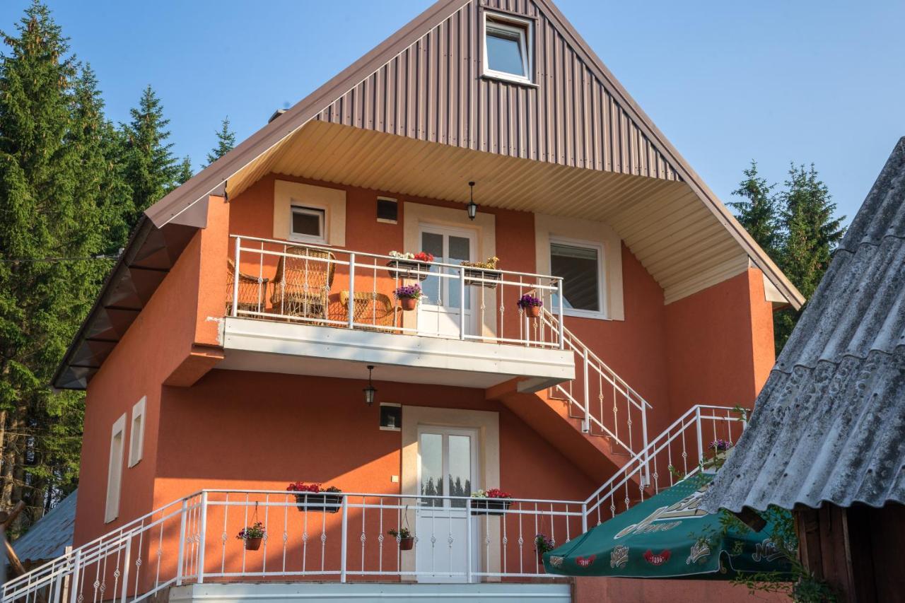 Dedeic Apartment