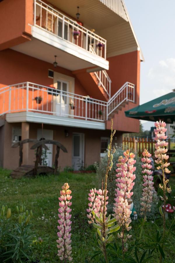 Apartment Dedeic *